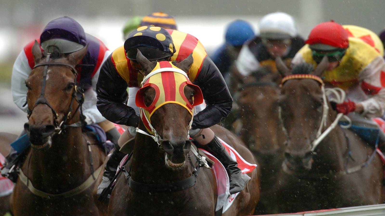 Horses and jockeys participate in a race