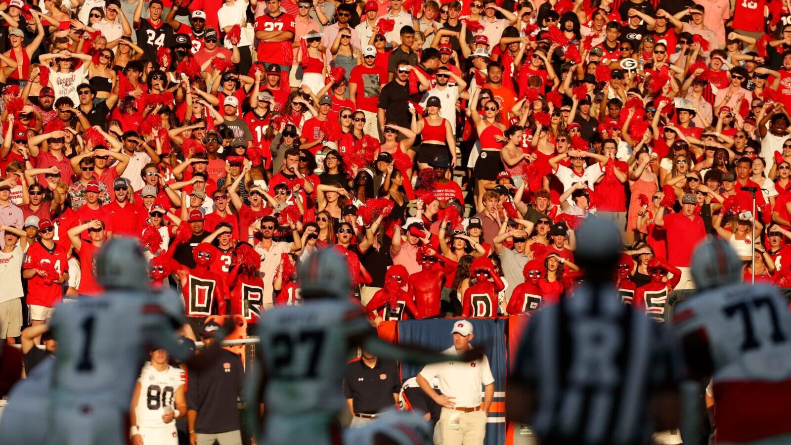 uga football crowd