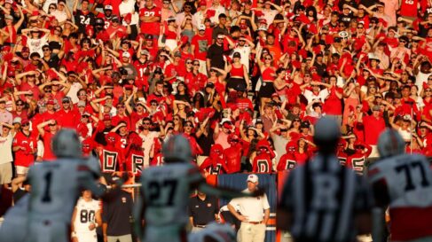 uga football crowd