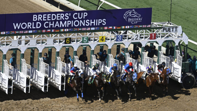 breeders' cup