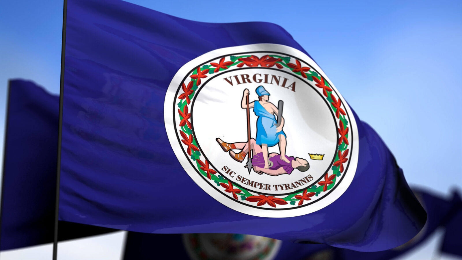 virginia flag